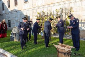 Mlada portugalka 2019 (8)